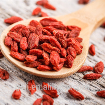 Top Quality Hypotensive Conventional goji berry